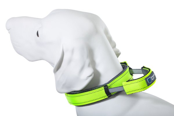 Armored Tech Dog Control Halsband Neon Grün
