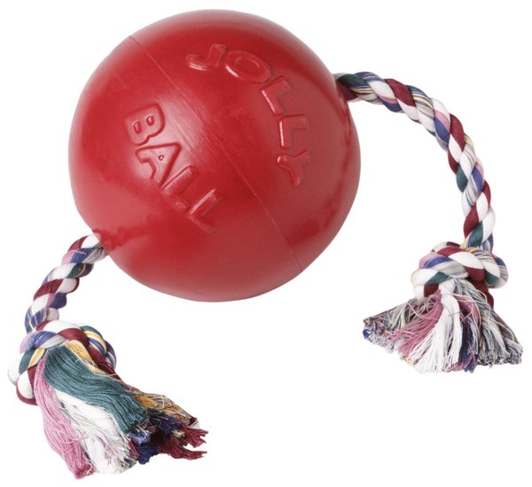 Romp Roll Jolly Ball Hundespielzeug 10 cm Größe S Rot oder Blau