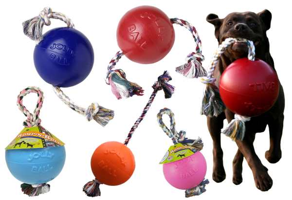 Romp Roll Jolly Ball Hundespielzeug 15 cm Größe M Rot oder Blau