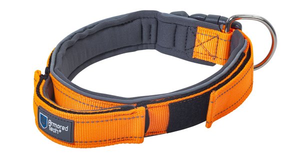 Armored Tech Dog Control Halsband Orange
